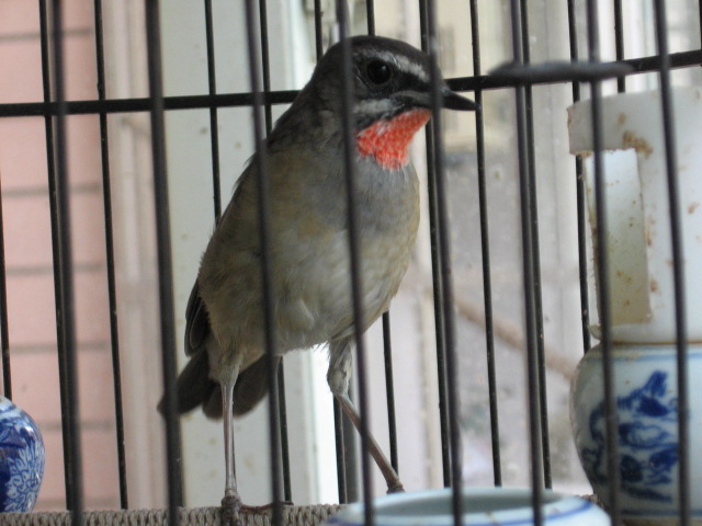 2012-07-25 007.jpg
