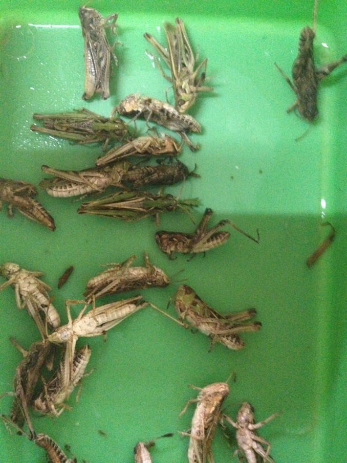 QQ图片20130615182308.jpg