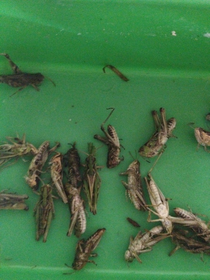 QQ图片20130615182258.jpg