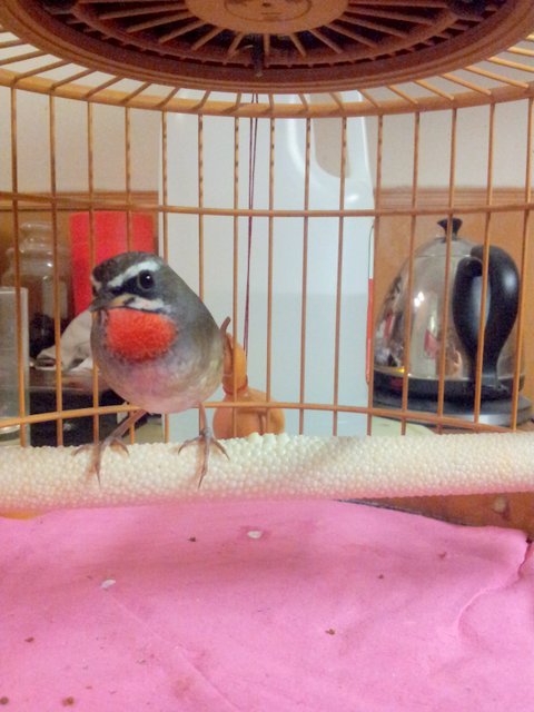 20130725_220155.jpg