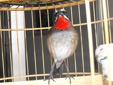 DSCF3958.JPG
