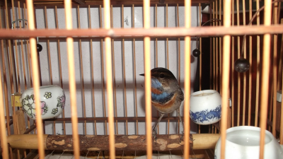 2012年春篮出关 004.jpg