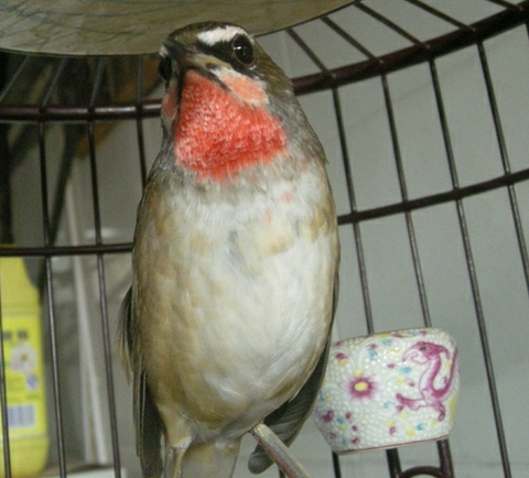 照片 059_2345看图王.jpg