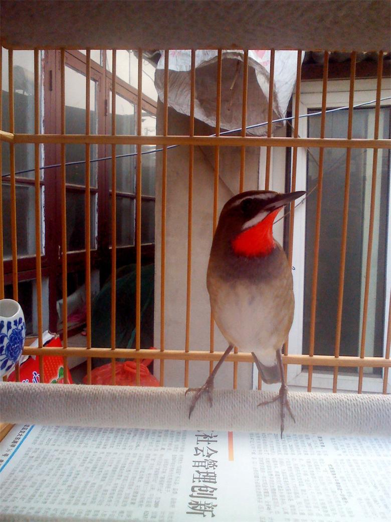 IMG_20130331_162150_看图王.jpg