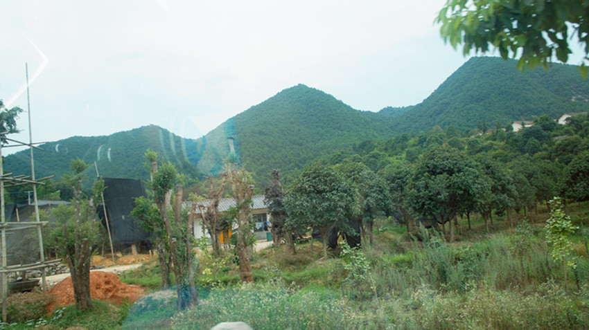 DSC04651_副本.jpg