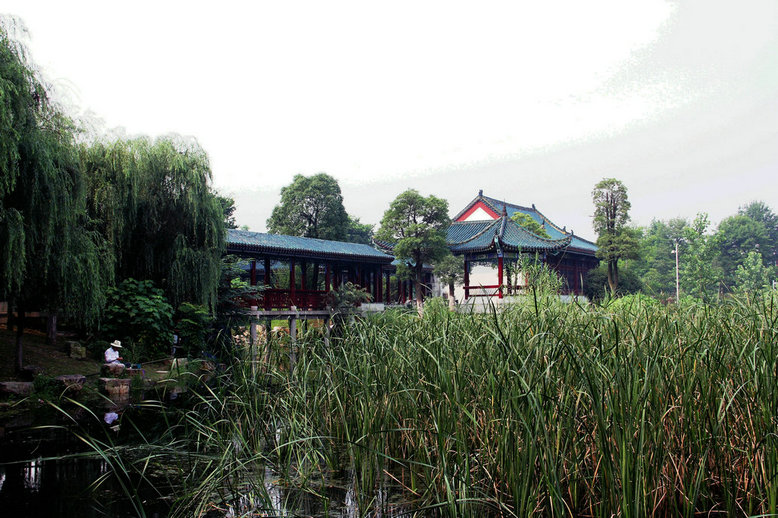 IMG_2853_副本.JPG
