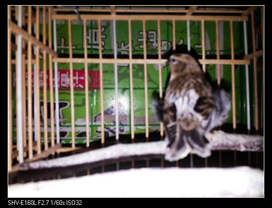 nEO_IMG_20130726_173507.jpg