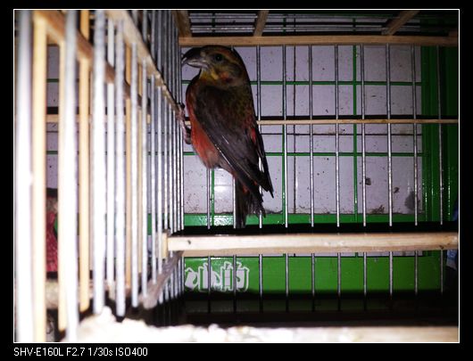 nEO_IMG_20130726_173048.jpg