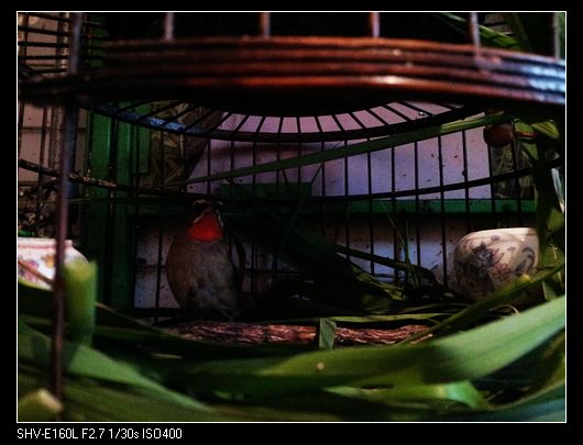 nEO_IMG_20130726_171600.jpg