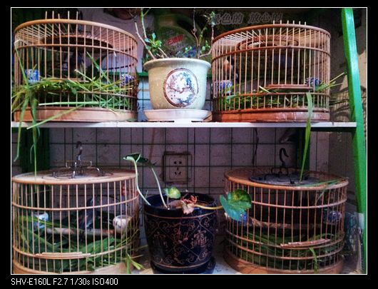 nEO_IMG_20130726_172836.jpg