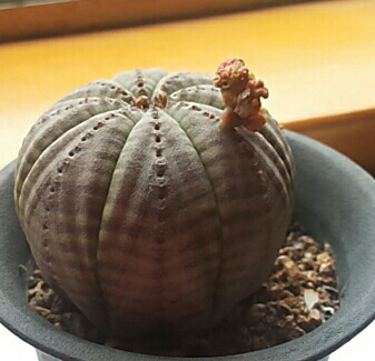 20130727_112600-1.jpg
