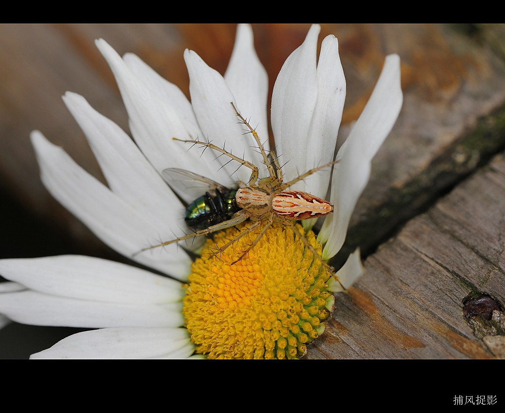 conew_img_6399.jpg