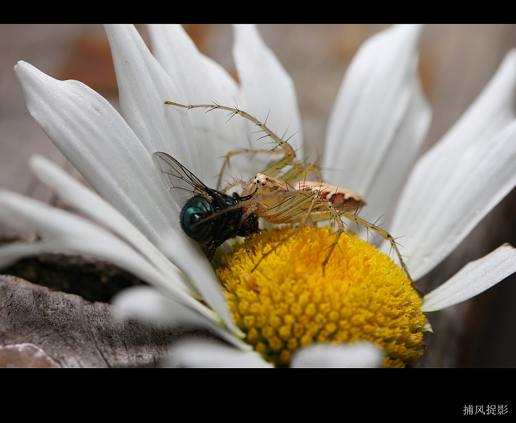 conew_img_6424.jpg