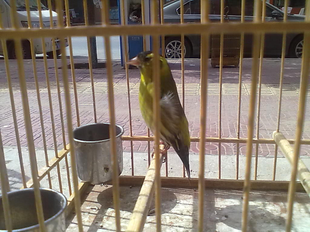 201307111024.jpg