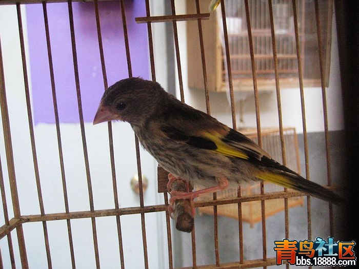 nEO_IMG_IMG_7092.jpg
