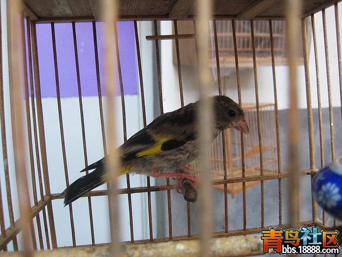 nEO_IMG_IMG_7090.jpg