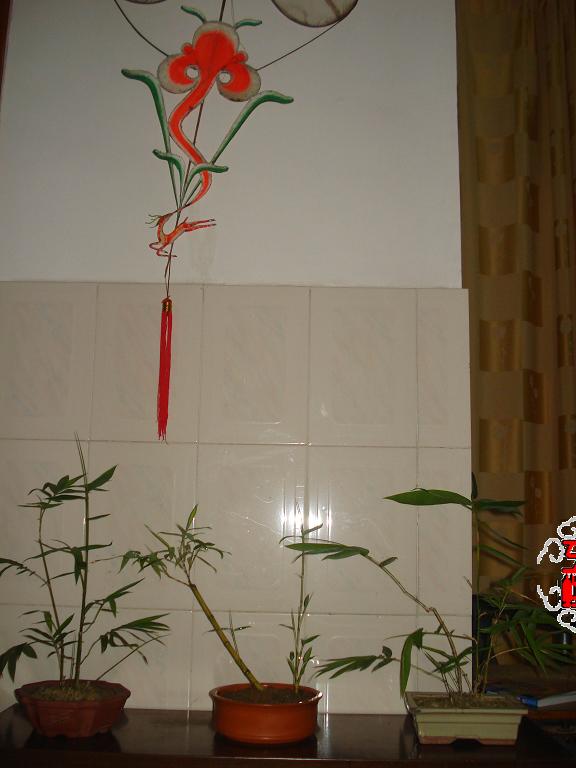 DSC07709.JPG
