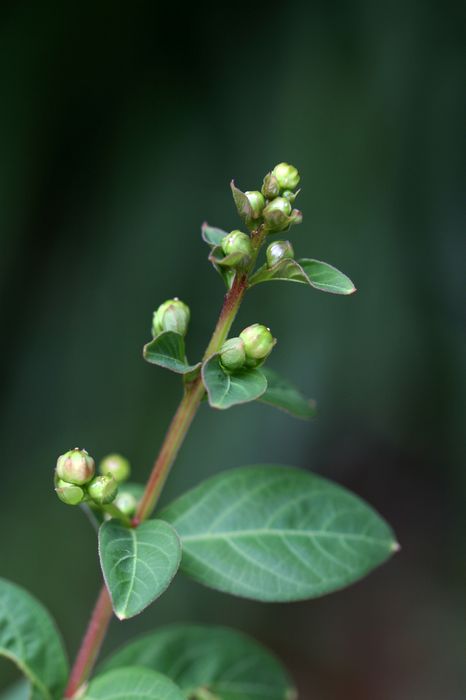 照片 015.jpg