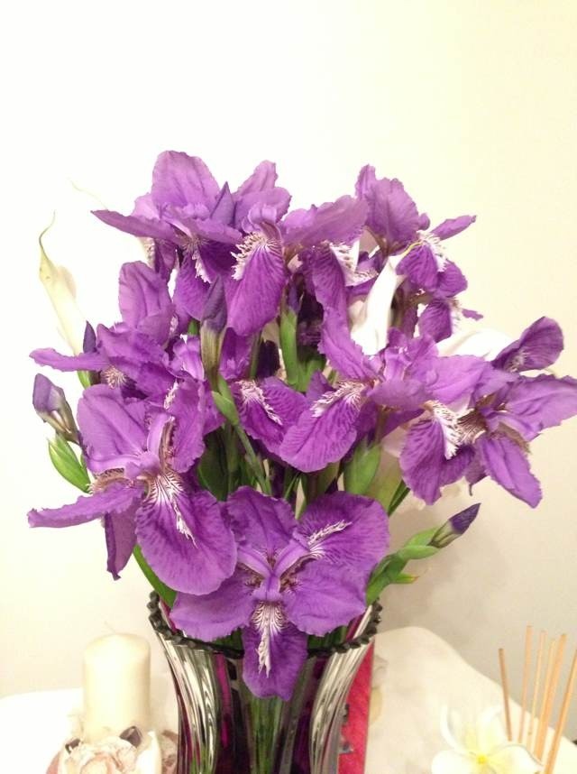 TIMG_398701309.71348.JPG