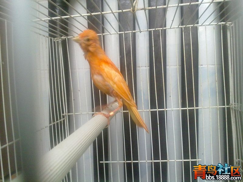 20130708863.jpg