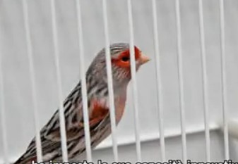 未命名4.jpg