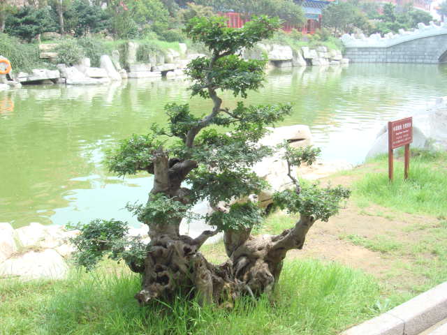 DSC03957.JPG