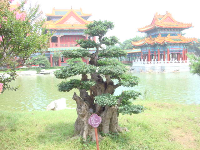 DSC03971.JPG