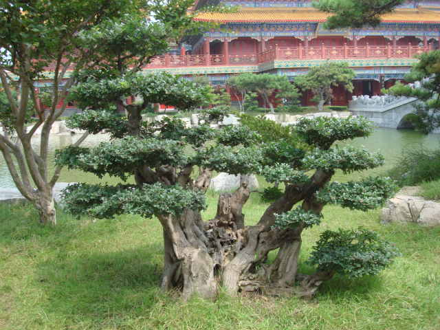 DSC03968.JPG