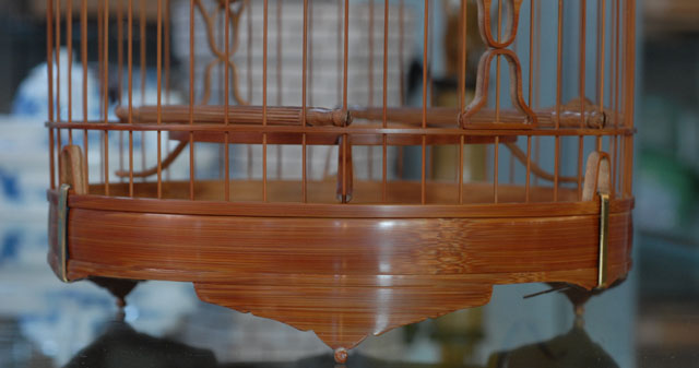 DSC_0017.JPG