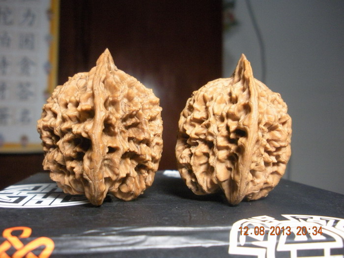 DSCN1734.jpg