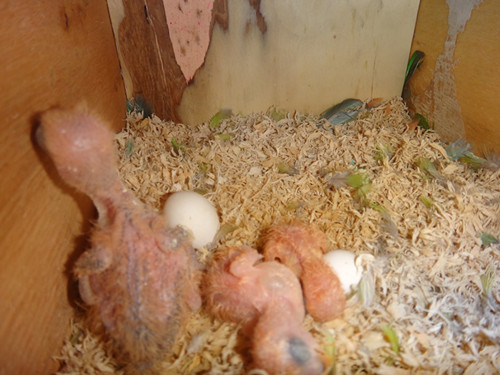 DSC01394_副本.jpg