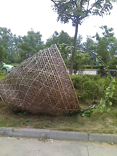 IMG0804152601.jpg