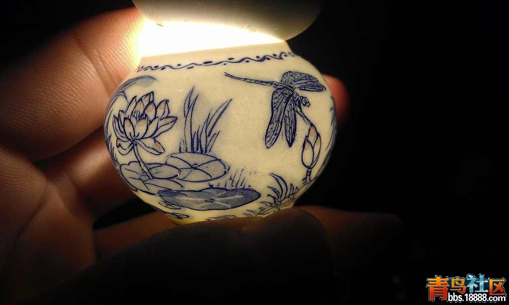 IMAG0671.jpg