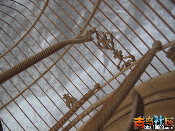 照片 012_调整大小.jpg