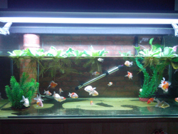 IMG_20130727_204458.jpg