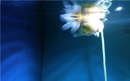20130816_231038.jpg