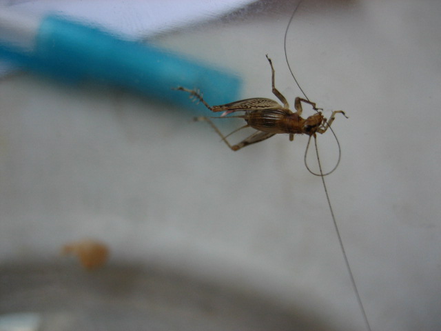 2012-1104 033.jpg