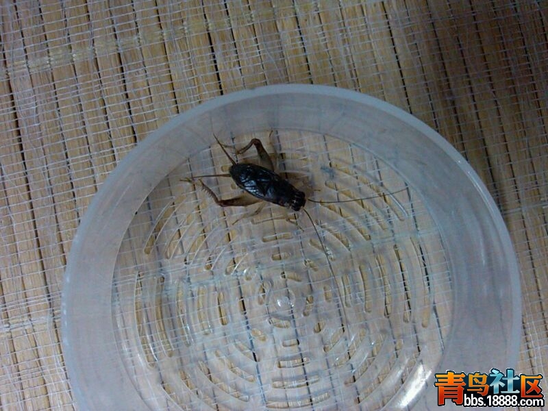 UC_Photo_086.jpg