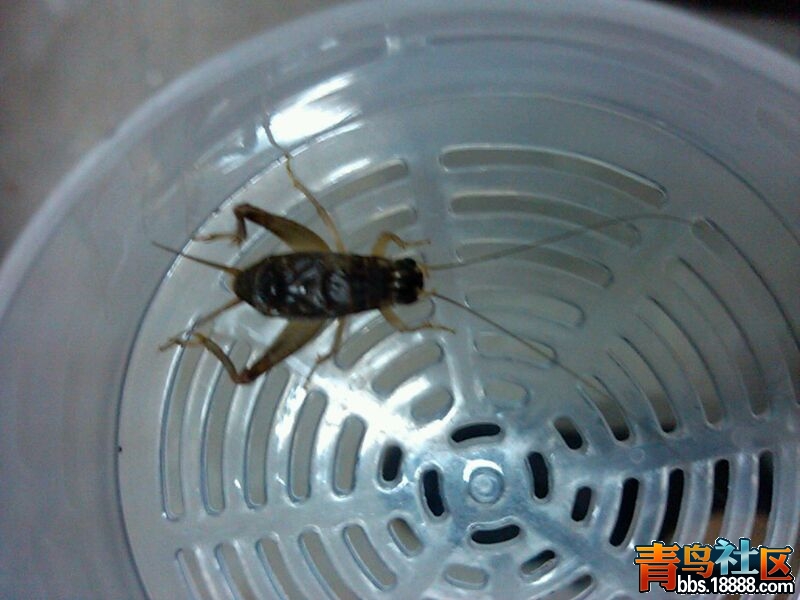 UC_Photo_084.jpg