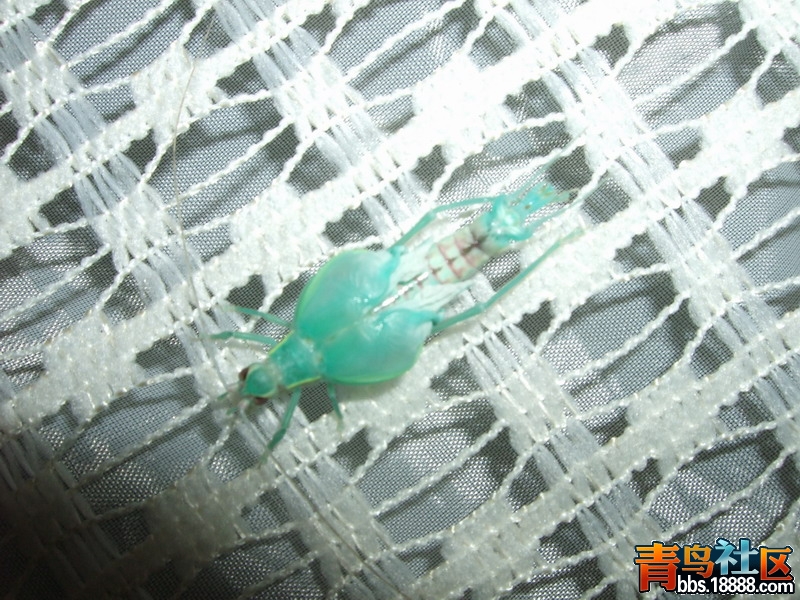 DSCF2765.jpg