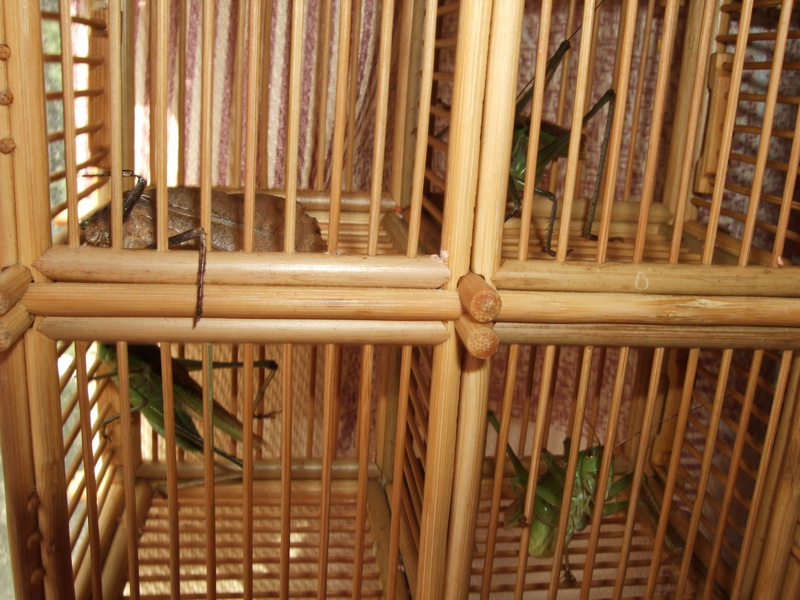 DSCF8872.jpg