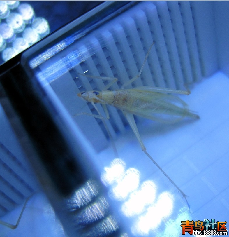 QQ图片20130828230339.jpg