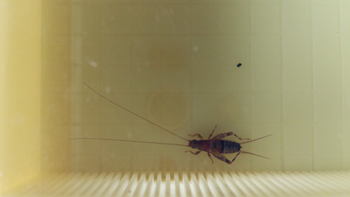 DSC_0008_副本.jpg