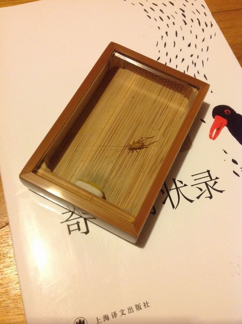 PX9`MAS~_54[N)U~9M]YWNQ.jpg