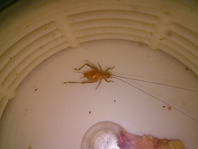 IMG20130825174007.jpg