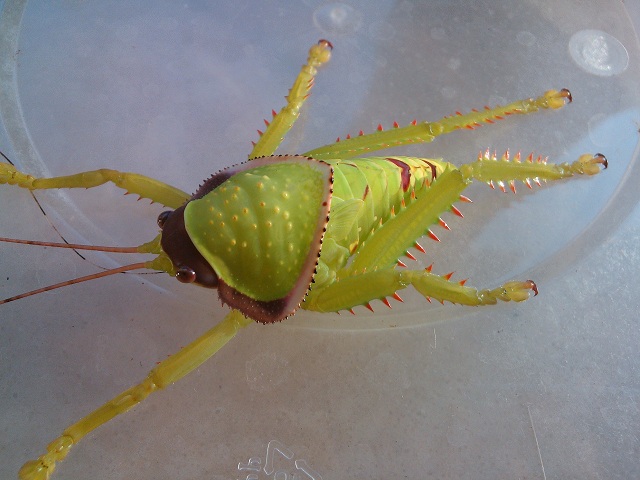 IMG20130825170952.jpg