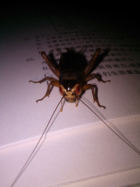 IMG20130825180234.jpg