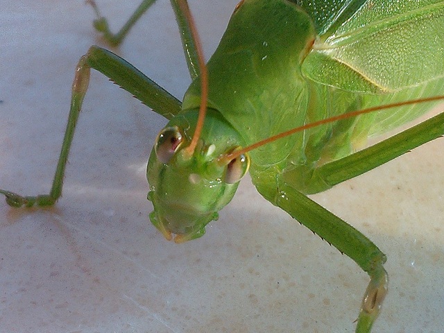 IMG20130825170225.jpg