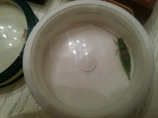 20130831_215933.jpg