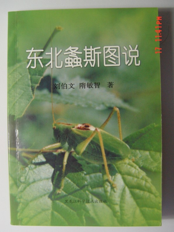 QQ图片20080101150818.jpg